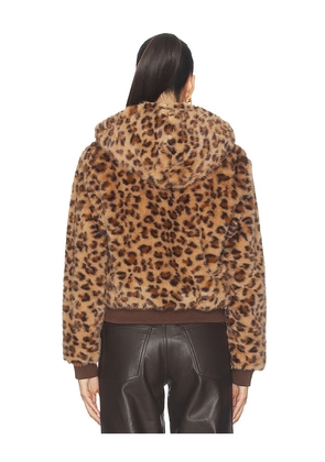 Le Superbe Windward Hoodie in Brown. Size M. Also in XS, S.