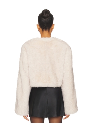 Lovers and Friends Cropped Gabriel Coat in Tan. Size M. Also in L, S, XL, XS, XXS.