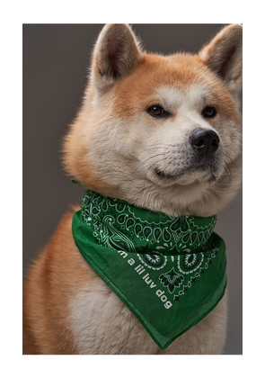 Lil Luv Dog Bandana in Green.