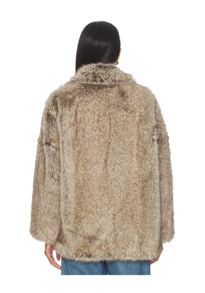 LAMARQUE Lucinda Faux Fur Jacket in Brown. Size M. Also in XXS, XS, S.