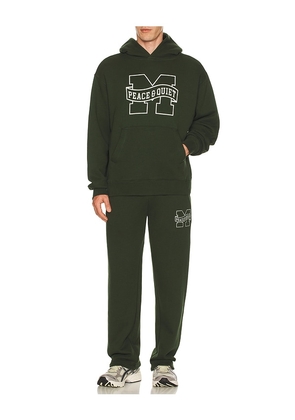 Museum of Peace and Quiet Banner Hoodie in Green. Size M. Also in XS, S, L.