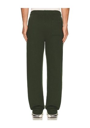Museum of Peace and Quiet Banner Sweatpants in Green. Size M. Also in XS, S.