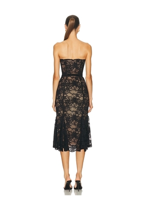 LOBA Lucienne Lace Midi Dress in Black. Size S. Also in XXS, M, XL.