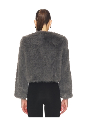 MISA Los Angeles Jordyn Cropped Faux Fur Jacket in Dark Grey in Grey. Size XL. Also in S, L.