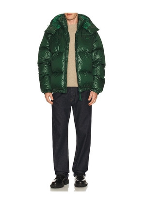 Lacoste Nylon Shiney Puffer Jacket in Green. Size 50. Also in 58, 46, 54.