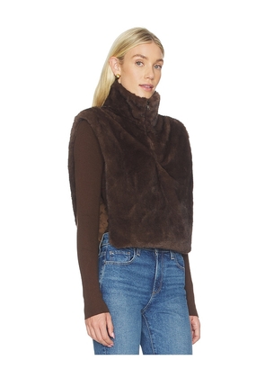 Line & Dot Dane Faux Fur Top in Brown. Size XS/S. Also in M/L.