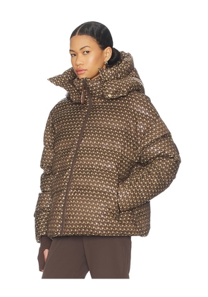 My Sunday Ski Apricity Ski Jacket in Chocolate,Tan. Size M. Also in L, S.