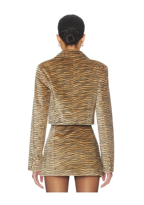LAMARQUE Jaylee Jacket in Brown. Size M. Also in S, XS, L, XL.