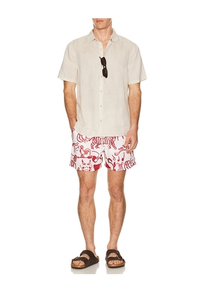 OAS Arcano Swim Shorts in Red. Size M. Also in XL/1X.