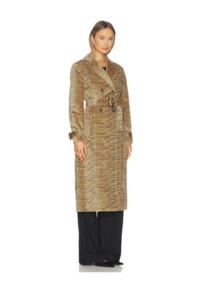 LAMARQUE Leslie Trench Coat in Brown. Size M. Also in XXS, XS, XL.