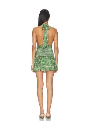 Miaou Natalia Dress in Green. Size L. Also in XS, M.