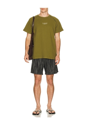 Maui and Sons Pique Front Short Sleeve Tee in Green. Size L. Also in S, M, XL/1X.