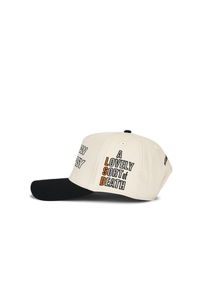 Midnight Rodeo American Exxxtasy Hat in White.