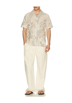 NN07 Juio Shirt in Brown. Size L. Also in S, M, XL/1X, XXL/2X.