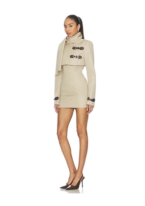 Lovers and Friends Florence Mini Dress in Tan. Size XXS. Also in XS, S, M, XL.