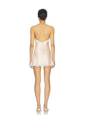 Lovers and Friends Morya Mini Dress in Rose. Size L. Also in XXS, M, XL.
