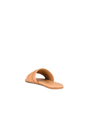 TKEES Caro Sandal in Tan. Size 5. Also in 6.