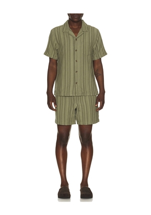 Marine Layer 6 Saturday Dobby Stripe Short in Olive. Size L. Also in M.