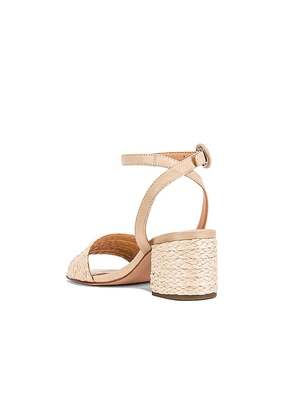 RAYE Nava Sandal in Neutral. Size 7.5. Also in 6, 6.5, 7, 8, 8.5, 9, 10.