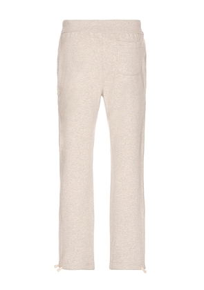 Polo Ralph Lauren Athletic Fleece Pant Straight Leg in Grey. Size XXL/2X. Also in L, M, S, XL/1X.