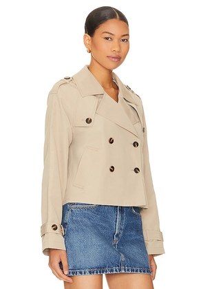 Steve Madden Sirus Jacket in Tan. Size XL. Also in L, M, S, XS.