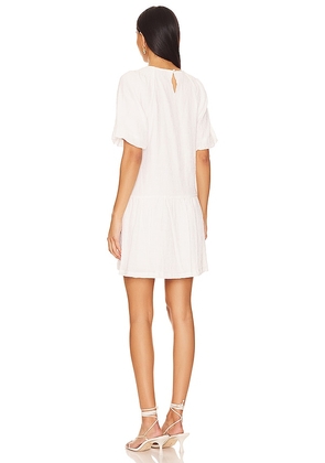 Steve Madden Abrah Dress in White. Size S. Also in XS.