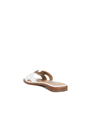 Steve Madden Hadyn Sandal in White. Size 6. Also in 8, 8.5, 9, 9.5, 10, 5.5.