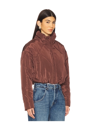 superdown Rania Cropped Jacket in Brown. Size M. Also in L.