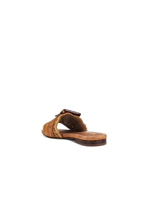 Sam Edelman Bambi Sandal in Brown. Size 6. Also in 6.5, 7, 7.5, 8, 8.5, 9.5, 5, 5.5.