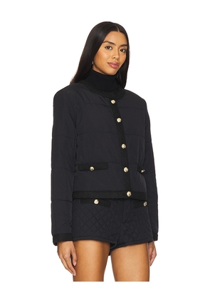 Steve Madden Coppelia Jacket in Black. Size XL. Also in S, L.