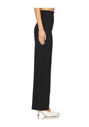 Ripley Rader Ponte Knit Straight Leg Pant in Black. Size 2. Also in 1, 3, 4.