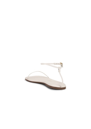 TKEES Square Toe Twiggy Sandal in Cream. Size 8. Also in 9, 11.