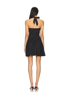 Steve Madden Yala Dress in Black. Size 12. Also in 4, 0, 2, 6, 8.