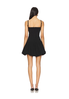 Steve Madden Trixie Dress in Black. Size 10. Also in 0, 12, 2, 4, 6.