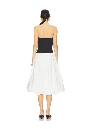 Steve Madden Oliver Dress in Black,White. Size M. Also in S.
