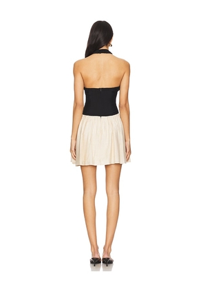 SEVEN WONDERS Sammi Mini Dress in Black. Size M. Also in XL.