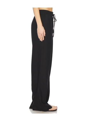 Steve Madden Venetia Pant in Black. Size M. Also in S, XS, L, XL.