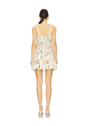 Steve Madden Kavala Dress in Cream. Size 10. Also in 6, 8.