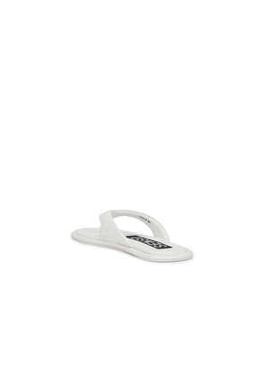 SENSO Innika III Flip Flop in Ivory. Size 37. Also in 38, 39, 40.