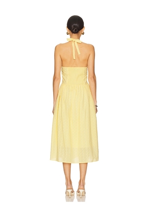 Steve Madden Ressi Dress in Yellow. Size M. Also in S, XL.