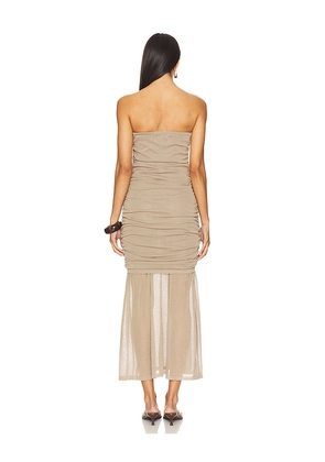 Steve Madden Lula Dress in Taupe. Size M. Also in L.