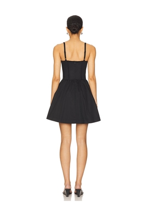 Steve Madden Rhoda Dress in Black. Size 2. Also in 0, 8.