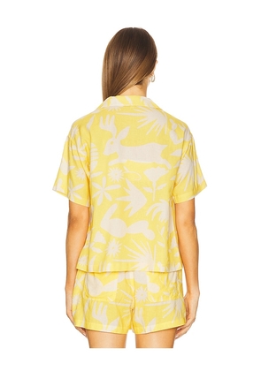 Sendero Provisions Co. Isla Top in Yellow. Size M. Also in XS, S, L, XL/1X.