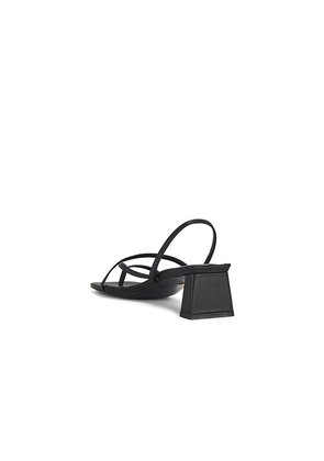 RAYE Porter Sandal in Black. Size 7. Also in 8, 9.