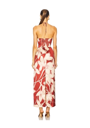 Steve Madden Oaklyn Dress in Rust. Size 10. Also in 4, 0, 2, 6, 8, 12.