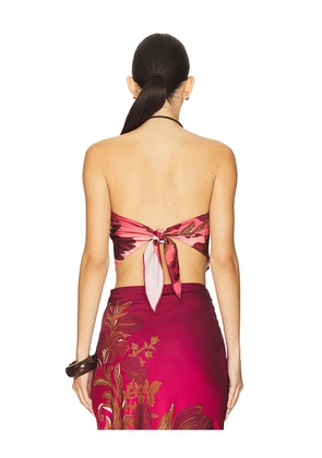 ROCOCO SAND Scarf Top in Burgundy,Blush. Size S. Also in XS, XXS.