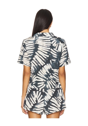 Steve Madden Sandra Top in Slate. Size M. Also in L, XS.