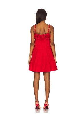 SAYLOR Carie Dress in Red. Size M. Also in L.