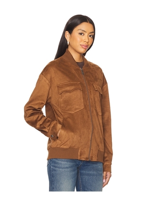 Steve Madden Dean Jacket in Brown. Size S. Also in XS.