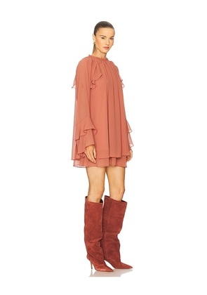 Steve Madden Sofina Dress in Brown. Size M. Also in L, S.